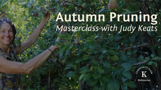 Autumn Pruning Masterclass with Judy Keats