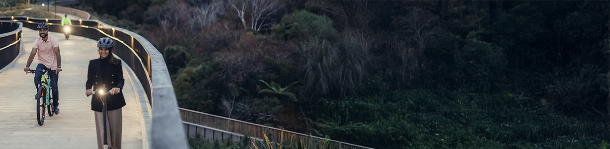 <h3>Use car-share or e-scooter and e-bike schemes</h3> image