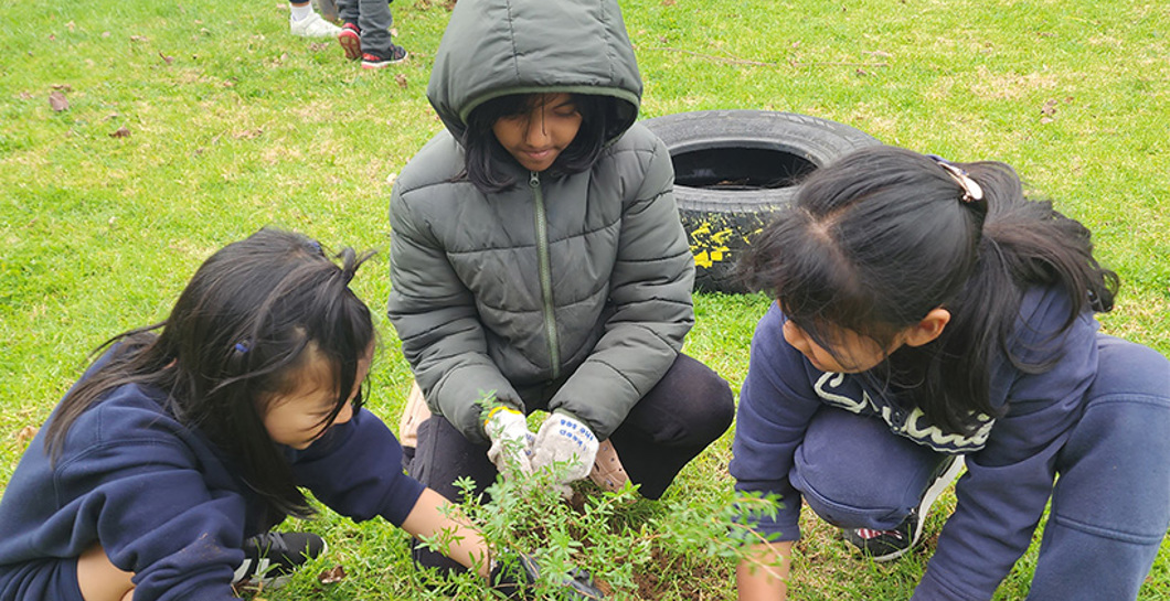 Small South Auckland School Plants a Forest image