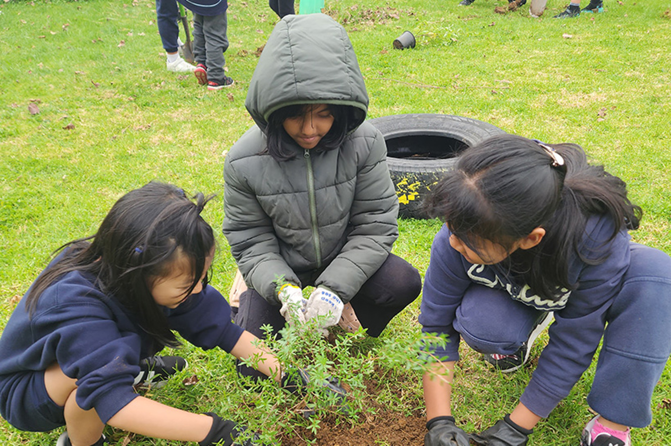 Small South Auckland School Plants a Forest image