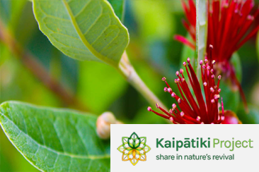 Kaipātiki Project preview image