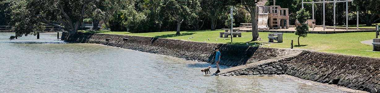 <p>Making Space for Water</p> image