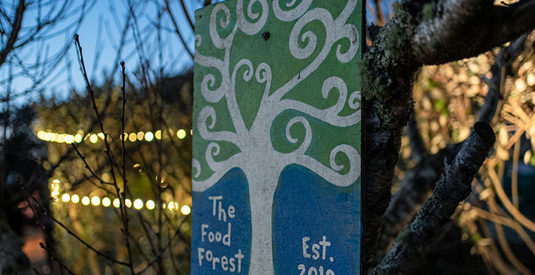 Biochar & Food Forest Wānanga image