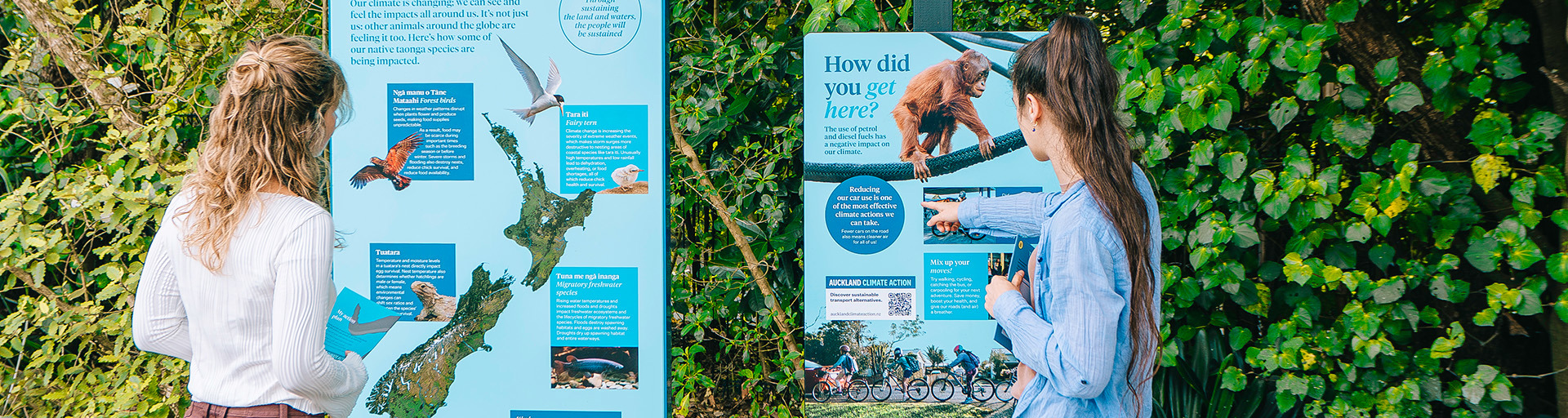 Auckland Zoo 2026 Feature