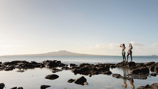 New website puts coastal data in Aucklanders’ hands preview image