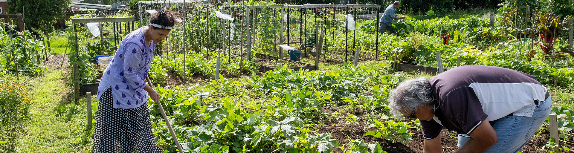 Econeighbourhoods Community Garden