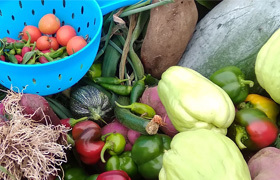 Auckland Teaching Gardens Trust image