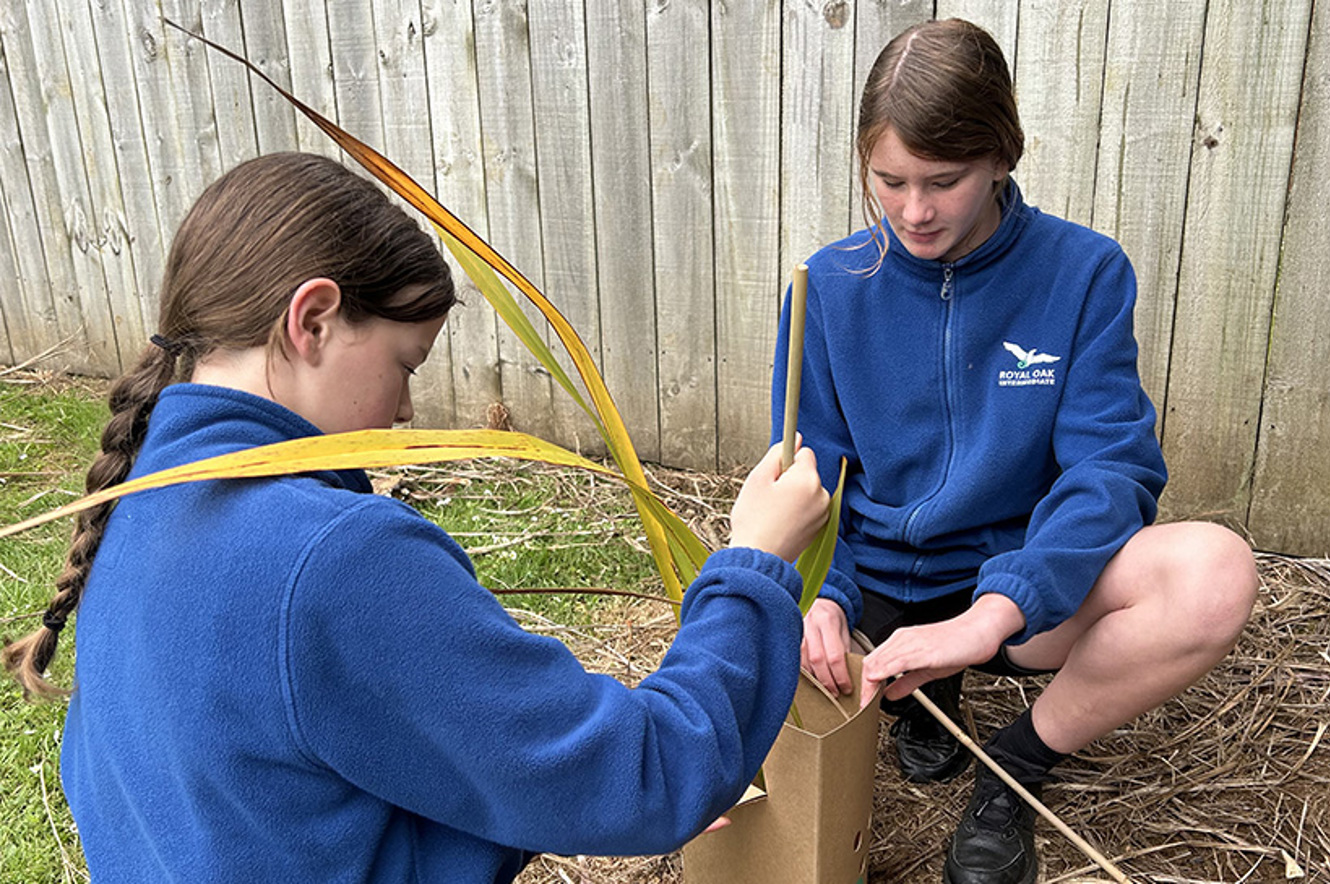 Holistic Enviroschools Reflection image
