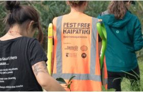 Pest Free Kaipātiki image