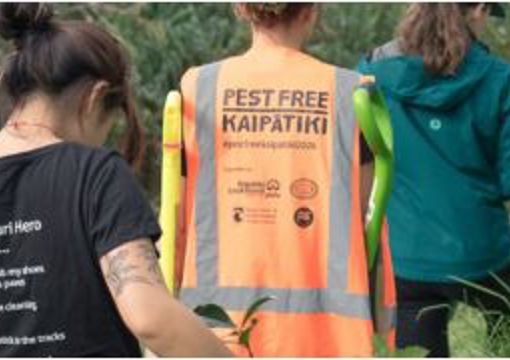 Pest Free Kaipātiki preview image