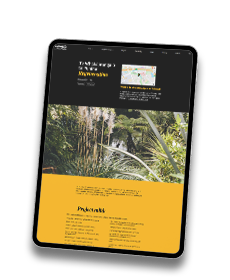 Te Whakaoranga o te Puhinui preview image