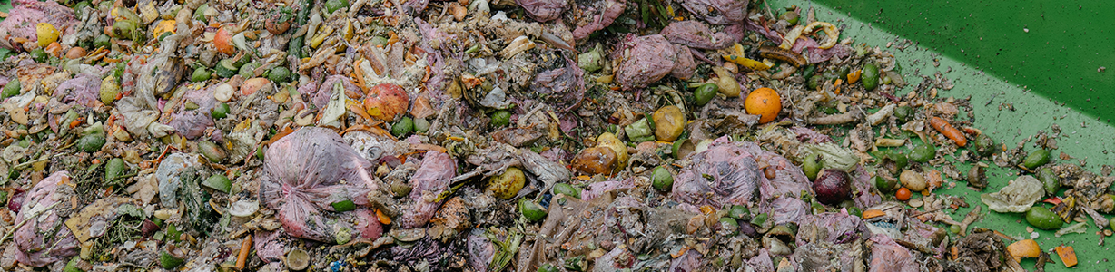 <p>Food waste facts!</p> image