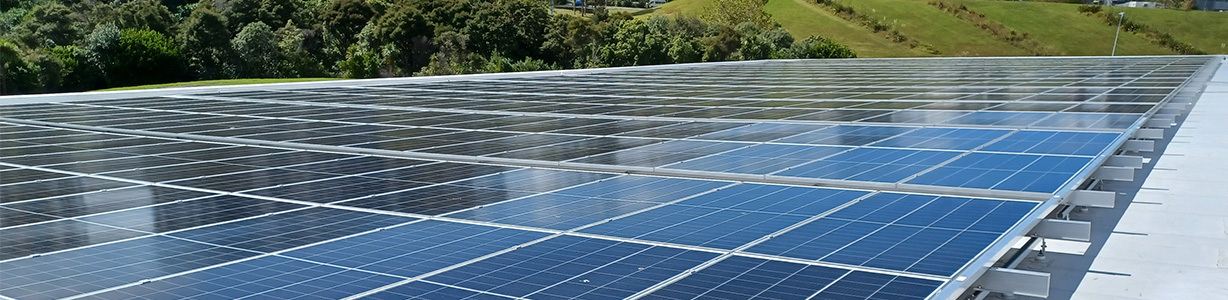 <p>Decarbonising council assets</p> image