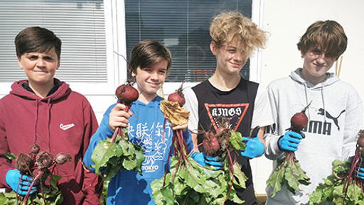 Ōrewa College preview image