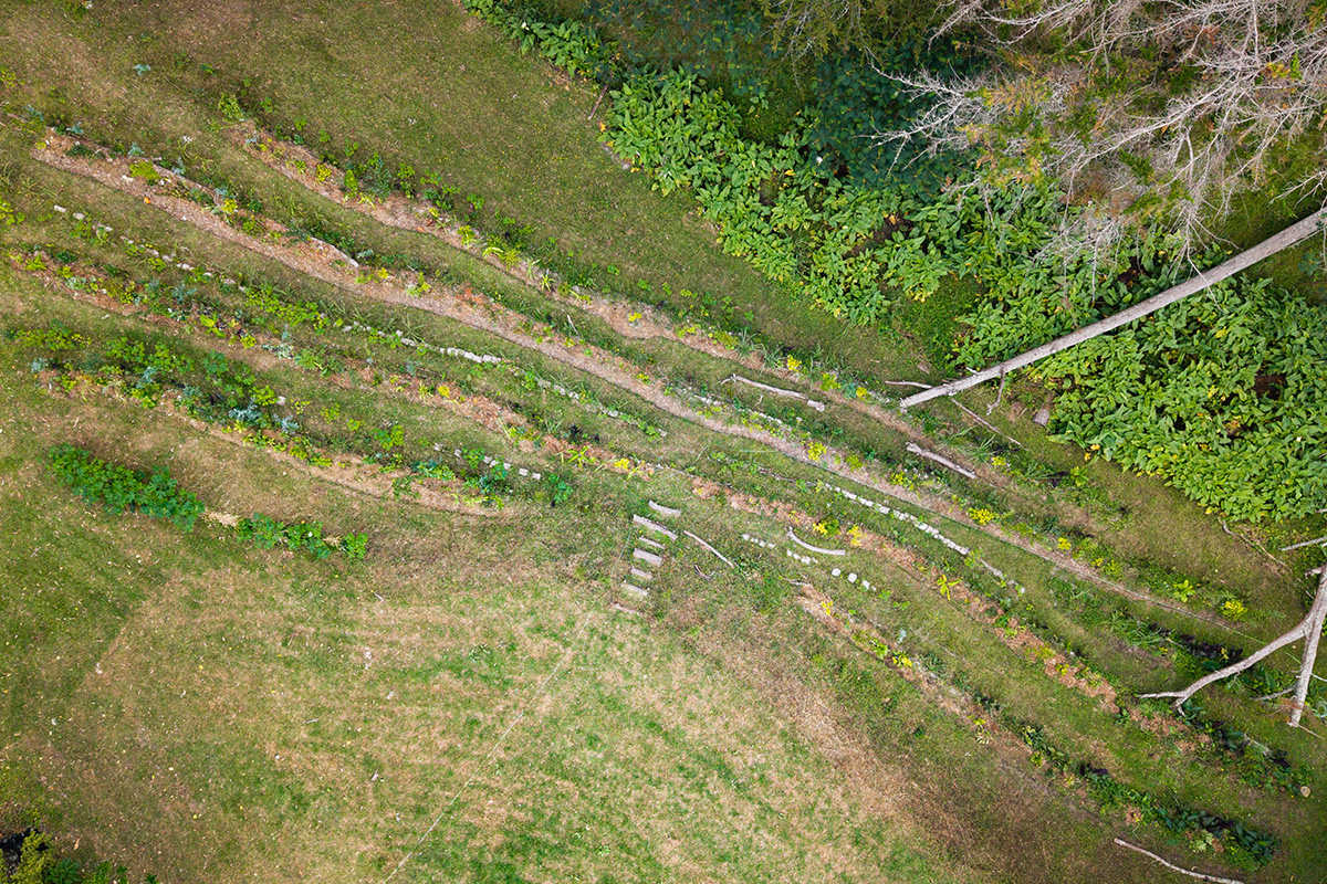 Food Forest 1200X800