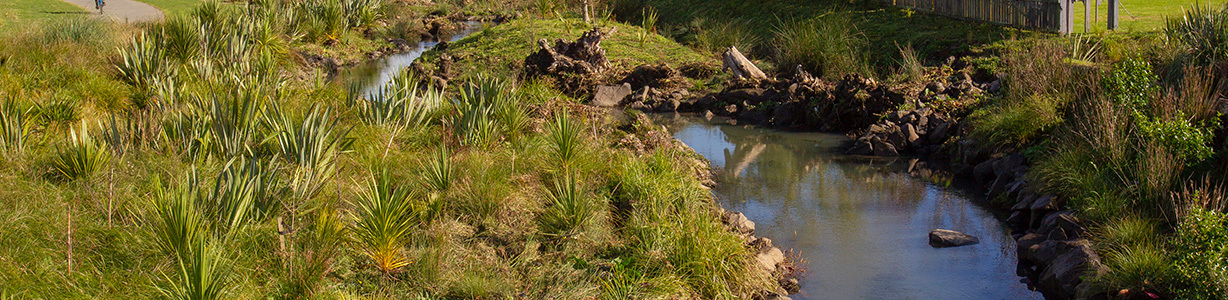 <p>Blue-green networks</p> image