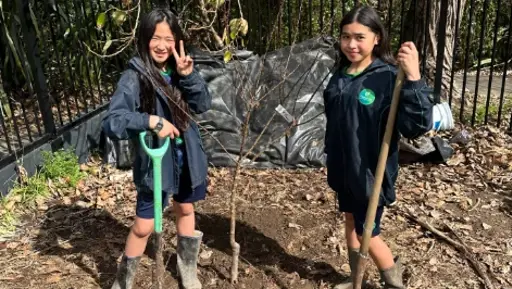 From grass bank to food forest at Pasadena Intermediate preview image