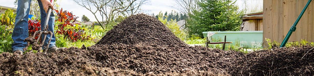 <p>Follow composting basics</p> image