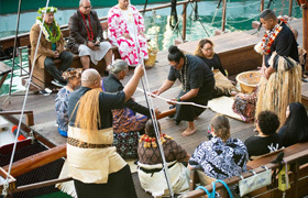 Pacific Vision Aotearoa (PVA) image