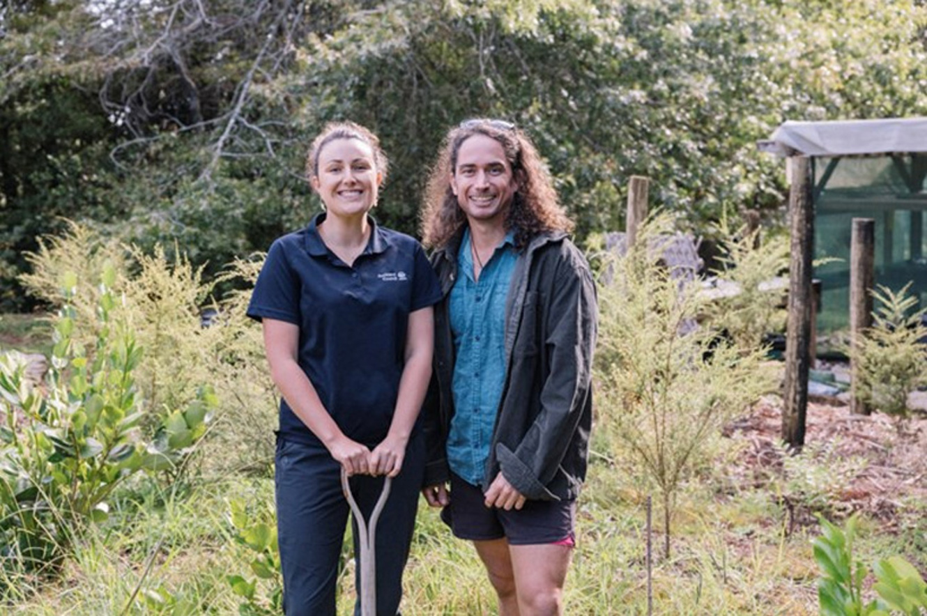 Add diversity to your garden with native plants image