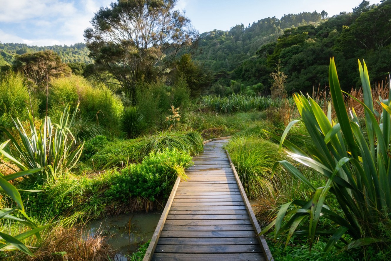 Solar panels and batteries provide the missing link for Te Henga / Bethells Beach image