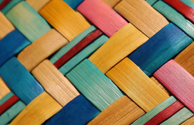 Auckland North Community and Development  - ANCAD image