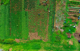 Papatuanuku Kokiri Marae image