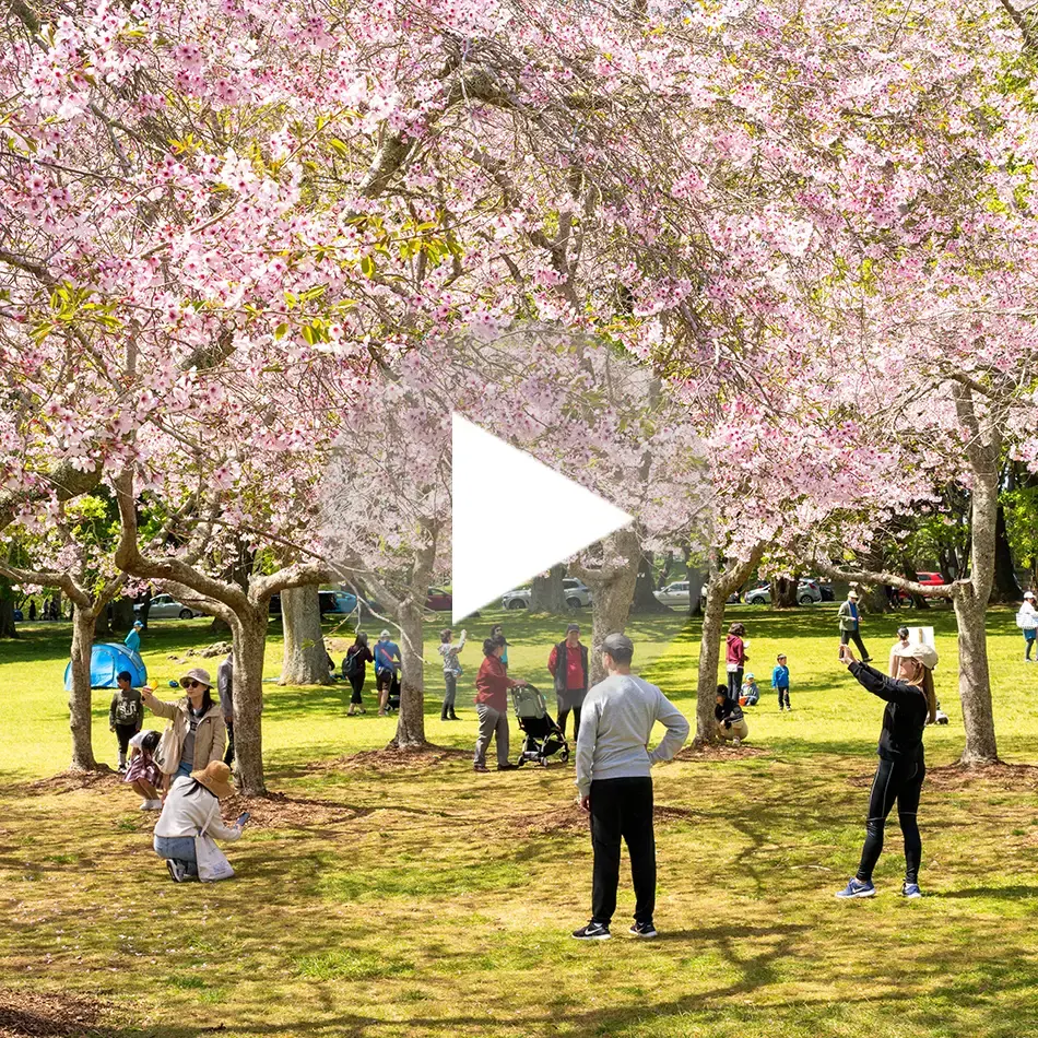 Spring Listicle 1 950X950 WEB (1)