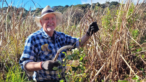 One volunteer, 30 years, and a growing forest on Waiheke preview image