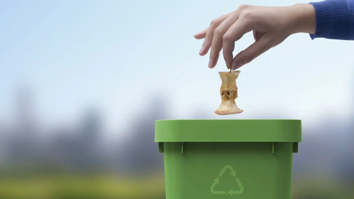 From food scraps to renewable energy – how does it work? preview image