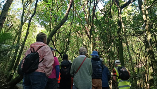 Calling all conservation heroes!