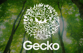 Gecko NZ Trust image