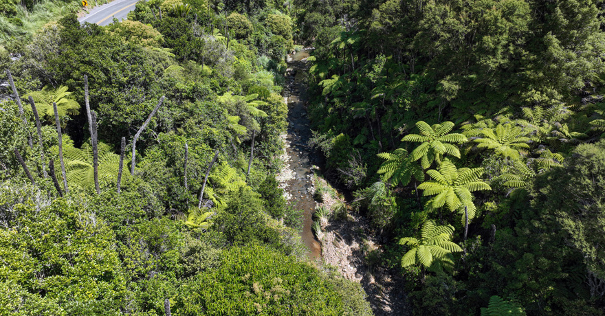 Hays Stream Papakura