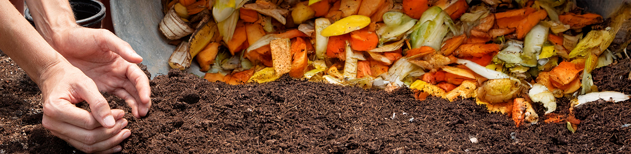 <p>Turn your kitchen and garden scraps into “black gold” and improve your soil</p> image
