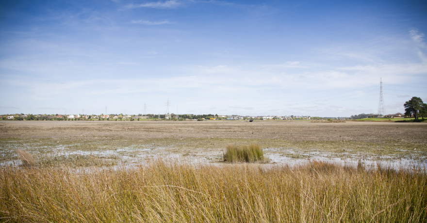 Inlet Road, Papakura 2