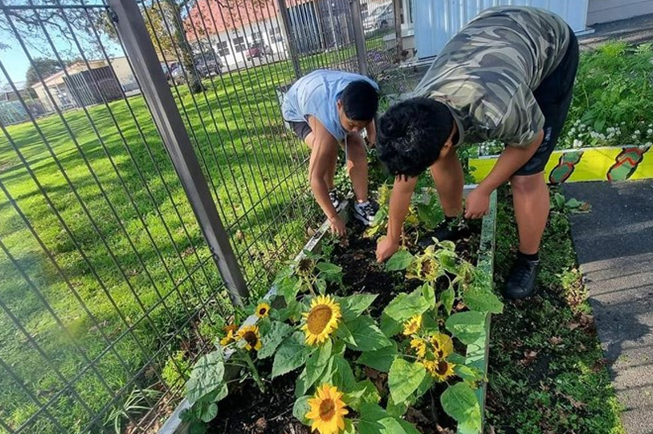 Green Thumb Crew: Young Gardeners of Tupu image