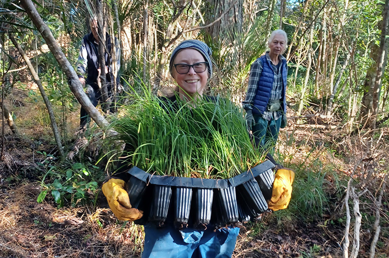 Ōtanerua Reserve Eco-Neighbourhood image
