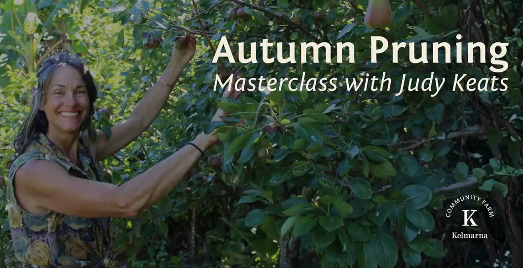 Autumn Pruning Masterclass with Judy Keats image