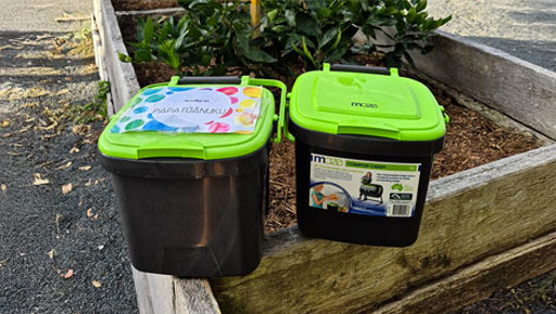 Growing Sustainable Habits in the Kitchen preview image