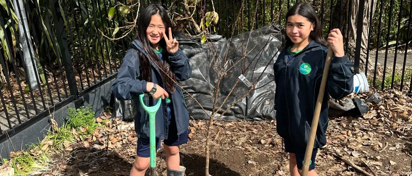 From grass bank to food forest at Pasadena Intermediate image