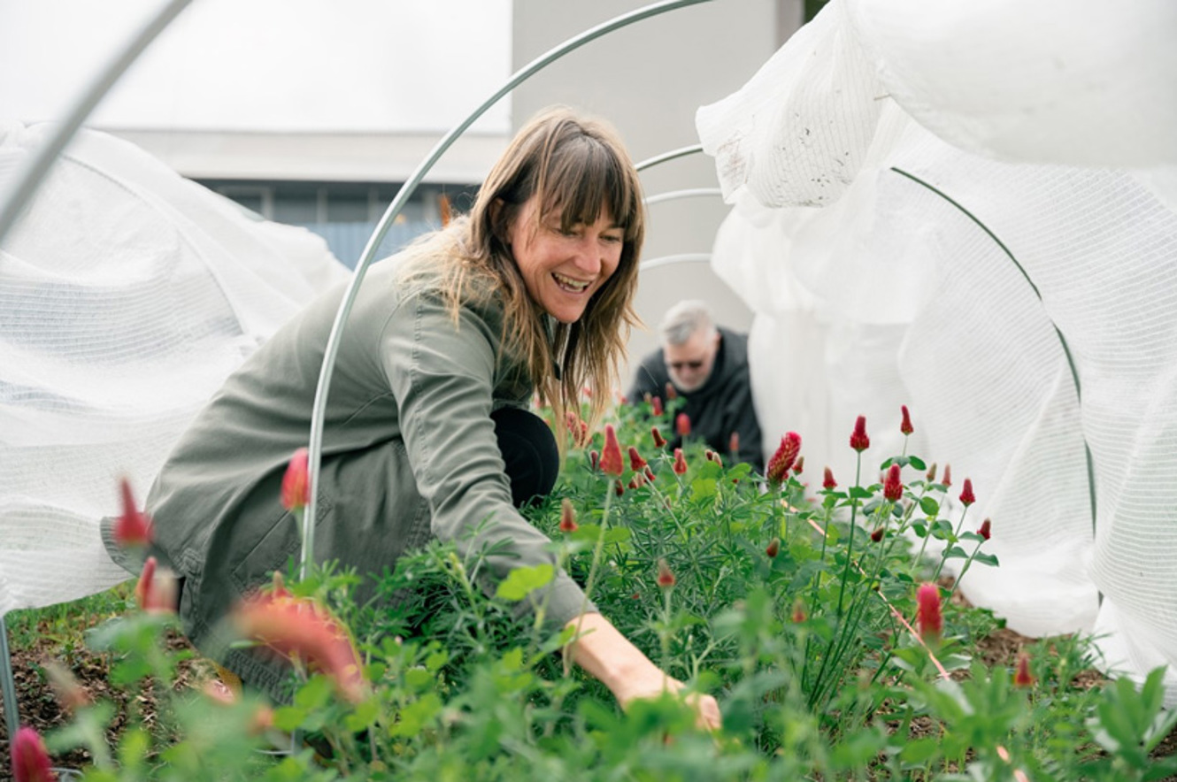 Awhi Mai Te Atatū: Growing as a community image