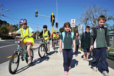 Travelwise for schools preview image