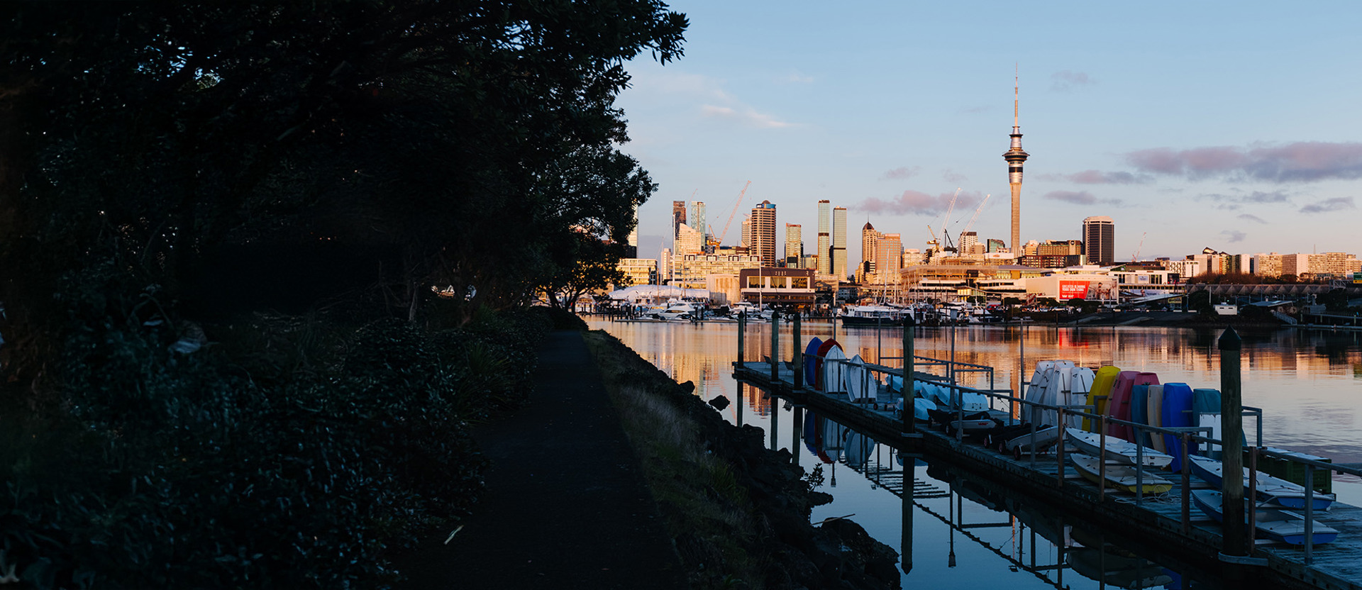 What We're Doing Hero 1905X800