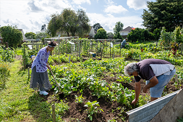 Community gardens & resilient kai preview image