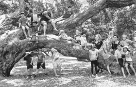 The Village Square Trust image