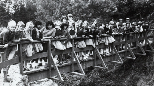 Planet-proof Papakura preview image