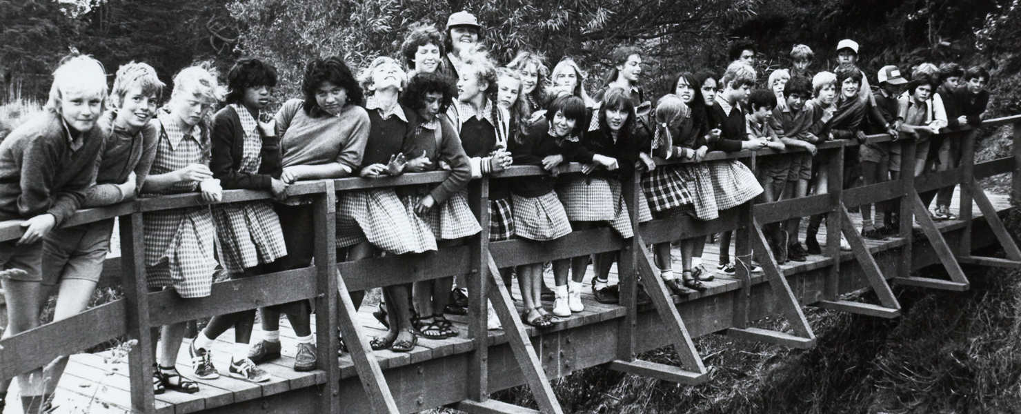 Planet-proof Papakura image