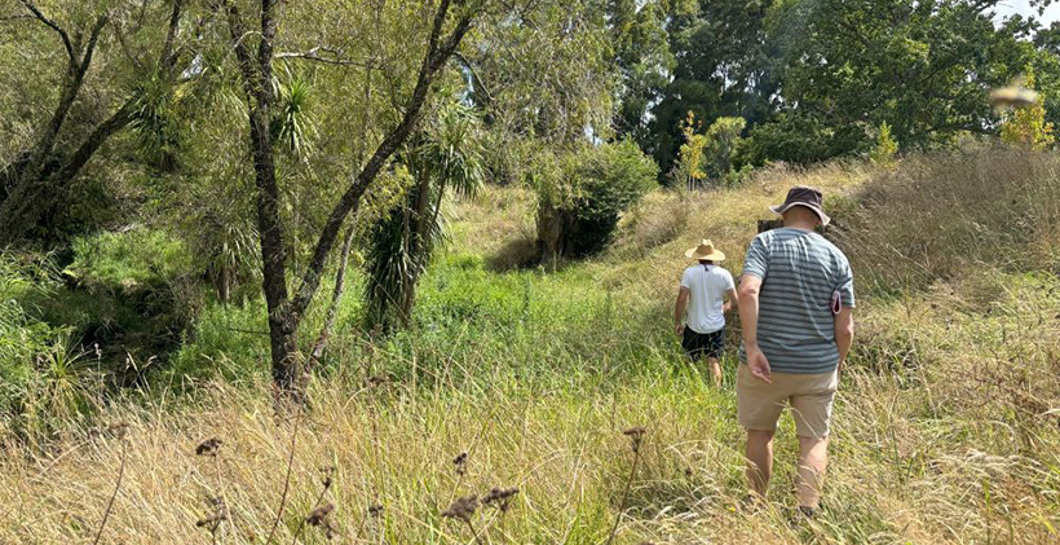 Planting to protect Matakana River banks image