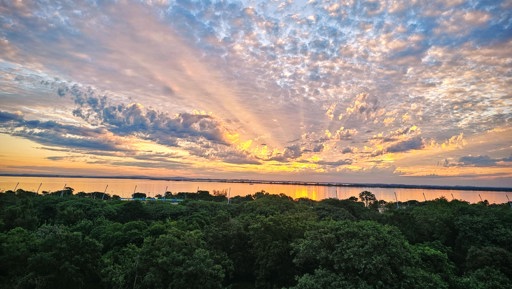 From Brazil to Mount Maunganui preview image