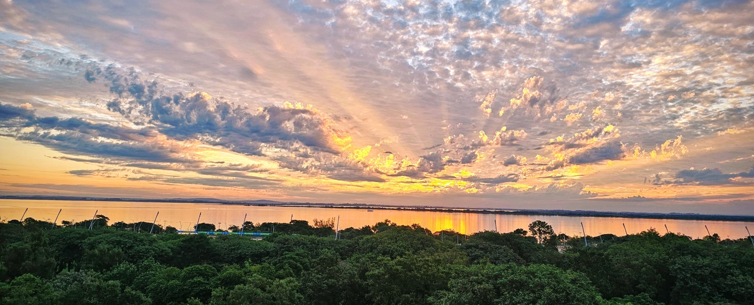 From Brazil to Mount Maunganui image